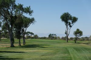 Silver Sage 8th